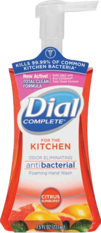Dial Complete Antibacterial Handwash: 99.99% Germ Protection | 7.5 fl oz